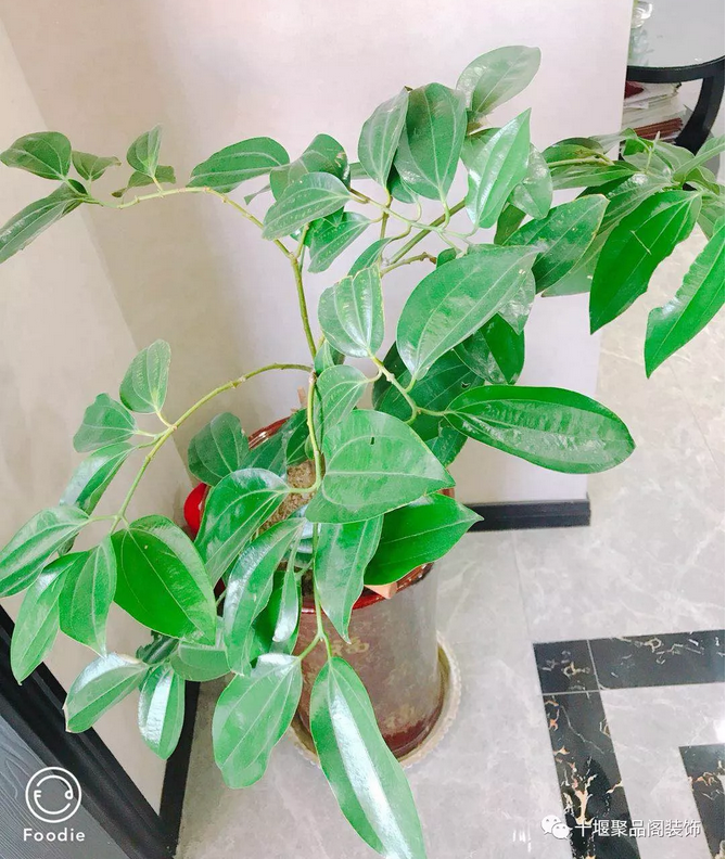 1523258230108612.png blob.png