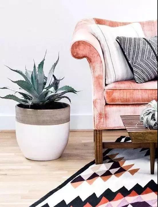 1519896348128230.jpg 4.jpg