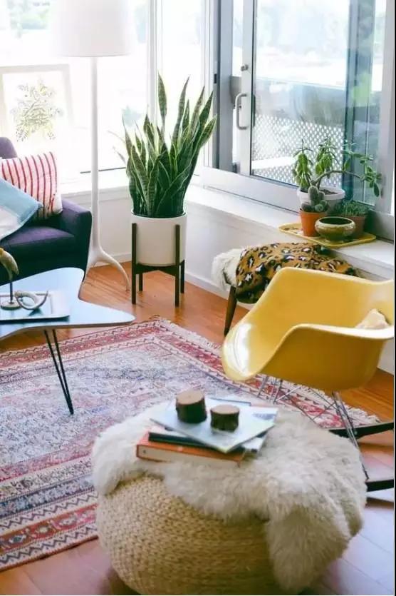 1519896400102643.jpg 13.jpg